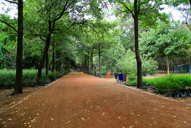 Viveros de Coyoacan