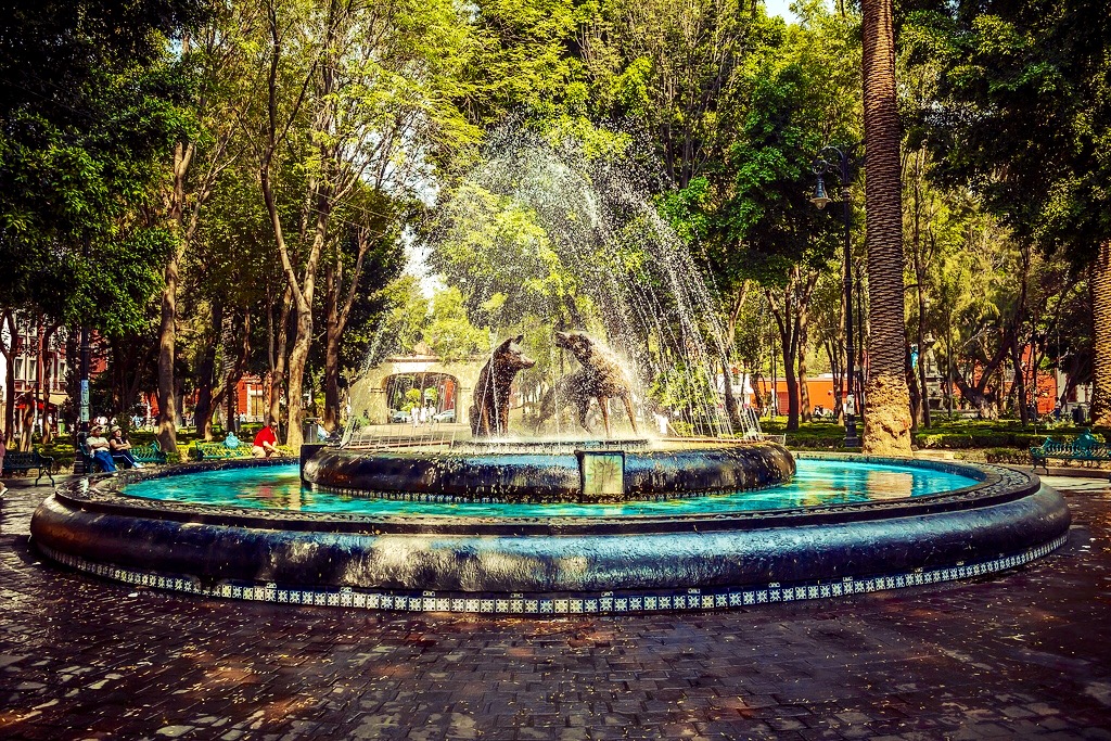 coyoacan coyoacan